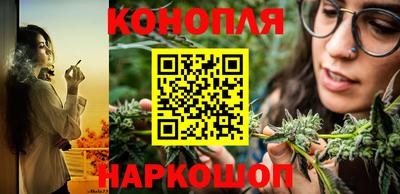 спайс Берёзовский
