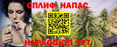 амф Бийск