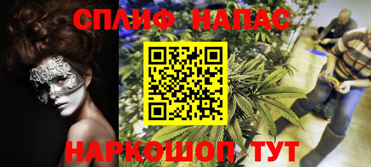 Бошки Шишки сатива Гусиноозёрск